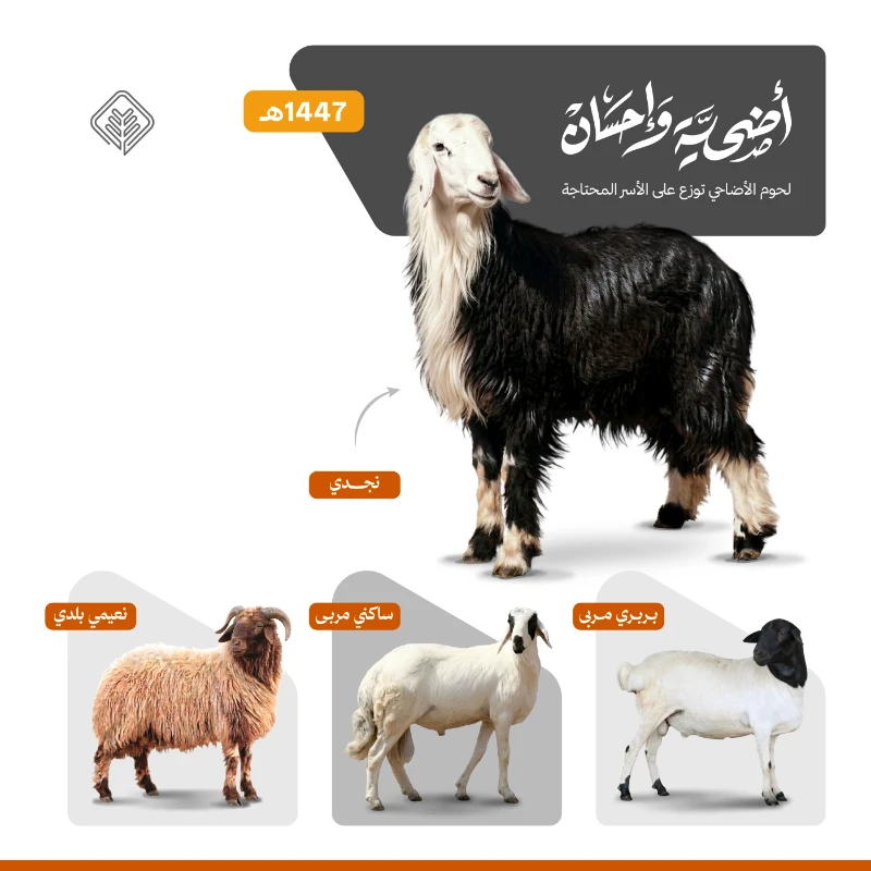 أضحية وإحسانتقرير مشروع الأضاحي لعام 1446هـتقرير مشروع الأضاحي لعام 1445هـتقرير مشروع الأضاحي لعام 1444هـتقرير مشروع الأضاحي لعام 1443هـخدماتنا للموكلين بالأضاحينقوم باختيار أضحيتكم من خلال مختصينونعتني بذبحها لدى جهات مختصة ومصرحة في وقتها الشرعيويتم توزيعها كاملة على الأسر المحتاجة داخل منطقة القصيممورد متخصص بالتربية والإنتاجنضمن جودة الأضاحي من خلال التعاقد المباشر مع موردين متخصصين في التربية والإنتاج المحلي مما يوفر للموكلين أنعاما من سلالات ممتازة خضعت لعناية فائقة وتغذية سليمة لتكون لائقة بمقام الشعيرةفريق متخصص باختيار الأضاحييتولى فريقنا الفني فحص وانتقا كل أضحية بعناية لضمان سلامتها التامة ومطابقتها للشروط والضوابط الشرعية بهدف إراحة الموكل من عنا البحث وضمان اختيار الأفضل والمجزي شرعاالفحص الطبي إشراف العيادة البيطرية في مكتب وزارة البيئة والمياه والزراعة ببريدةتخضع كافة الأضاحي لرقابة طبية دقيقة بإشراف مباشر من العيادة البيطرية التابعة للوزارة ببريدة لضمان خلوها من الأمراض وصلاحيتها التامة للاستهلاك مما يمنح الموكلين اطمئنانا كاملا من الجانب الصحي والوقائيالذبح بالمسالخ النموذجية المعتمدة والتقطيع الصغير للحومتتم عمليات الذبح في بيئة صحية خاضعة للمعايير الرسمية ونعتمد نظام التقطيع الصغير للحوم لتجهيزها بشكل منظم يسهل حفظه واستخدامه بما يضمن تقديمها للمستفيدين بصورة لائقة وعمليةالتعبئة والتغليف مسحوب الهوا فاكيوملحماية الجودة ومنع الأكسدة نستخدم تقنية الفاكيوم المتطورة في التغليف حيث تضمن هذه التقنية بقا اللحوم طازجة ومحتفظة بقيمتها الغذائية لفترة أطول لتصل إلى المحتاجين بأفضل حالة صحية ممكنةشحن وتوزيع للمحتاجينبصفتنا وكلا عنكم نتولى المسؤولية اللوجستية بالكامل عبر شحن اللحوم وتوزيعها على الأسر المحتاجة والمستفيدة لنضمن إيصال أضحية الموكل إلى مستحقيها بكل دقة وأمانة وتنظيمأنواع الأضاحيالأضحية من نوع نجديجذع مستوفية للشروط الشرعية والصحية ويتراوح وزنها من 70 كيلو إلى 80 كيلو قبل الذبحالأضحية من نوع ساكنيجذع مستوفية للشروط الشرعية والصحية ويتراوح وزنها من 45 كيلو إلى 50 كيلو قبل الذبحالأضحية من نوع نعيميبلدي جذع مستوفية للشروط الشرعية والصحية ويتراوح وزنها من 45 كيلو إلى 50 كيلو قبل الذبحالأضحية من نوع بربريجذعثني مربى مستوفية للشروط الشرعية والصحية ويتراوح وزنها من 25 كيلو إلى 30 كيلو قبل الذبحالأضحية شعيرة من شعائر الله قال تعالى ذلك ومن يعظم شعائر اللـه فإنها من تقوى القلوبسورة الحج ية32كما أن النبي عليه الصلاة والسلام حرص على الأضحيةوحث عليها المسلمين من هدي النبي صلى الله عليه وسلم أنه كانحريصا على الأضحية حتى إنه ضحى لما أدركه الأضحى في سفره روى مسلم 1975 عن ثوبان قال ذبح رسول الله صلى الله عليه وسلم ضحيته ثم قال يا ثوبان أصلح لحم هذه فلم أزل أطعمه منها حتى قدم المدينة ويدل على أهميتها قرنها بالصلاة في عدة مواضع قال تعالى فصل لربك وانحر الكوثر 3 كما أن فيها اقتدا بنبي الله إبراهيم عليه السلام فالتقرب إلى الله تعالى بالأضحية من أعظم العبادات والطاعات وأجلها هل يجوز توكيل شخص أو جهة مختصة للقيام بذبح الأضحيةيجوز التوكيل لفعل النبي صلى الله عليه وسلم فعن جابر رضي الله عنه أن النبي صلى الله عليه وسلم نحر ثلاثا وستين وأمر عليا رضي الله عنه أن يذبح الباقي رواه مسلمما أثر توزيع الأضاحي على الفرد والمجتمعروح الإيثار والتضحية يعتبر ذبح الأضاحي تجسيدا للتضحية والإيثار في سبيل اللهحيث يتنازل الفرد عن جز من ممتلكاته لتكون للفقرا والمحتاجين فرحة في العيدوهذا يعزز الروح الاجتماعية للتعاون والتضامن في المجتمعتوزيع الثروة يساهم ذبح الأضاحي في توزيع الثروة والموارد بين أفراد المجتمعحيث يتم توزيع اللحوم على الفقرا والمحتاجين والأقارب والجيرانهذا يخفف من حدة الفقر والحاجة ويعزز المحبة والألفةالتقرب إلى الله يعتبر ذبح الأضاحي فريضة دينية في الإسلام ويعتبر قربانا لله تعالىفعملية الذبح وتقديم الأضاحي تعزز لدى المتبرع التقرب إلى الله وطلب مرضاته بالصدقة متبرعنا العزيز نعتذر منك بعد إتمام التوكيل لا نستطيع استعادة المبلغ والغا الطلبتنبيهنأمل عند توكيلنا التأكد من إضافة رقم الجواللنتمكن من إبلاغكم بعد ذبح أضحيتكم